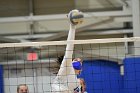 Volleyball vs RWU  Wheaton Women’s Volleyball vs Roger Williams University. : Volleyball, VB